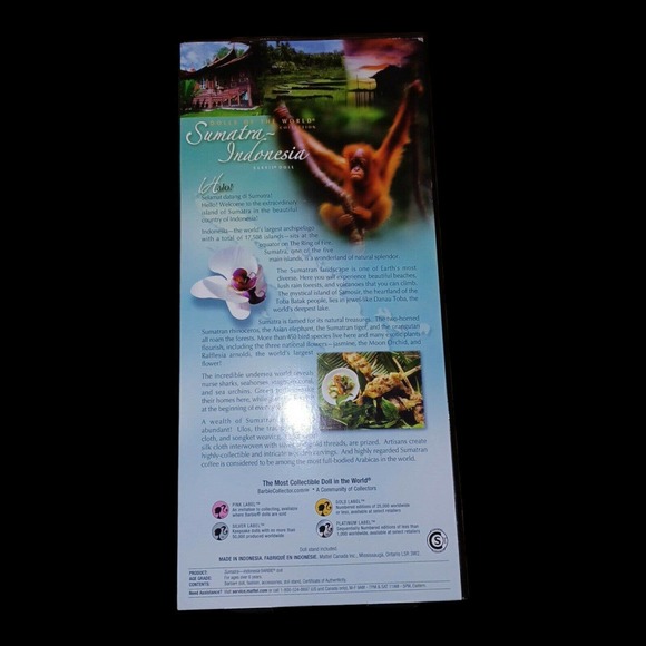 Sumatra Indonesia Barbie Doll Dolls of the World Asia Pink Label 2007 Mattel - Picture 2 of 2